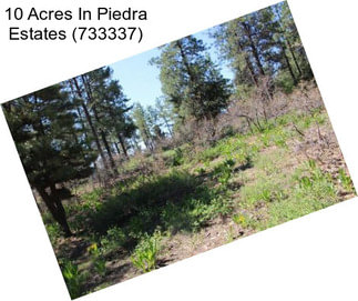 10 Acres In Piedra Estates (733337)