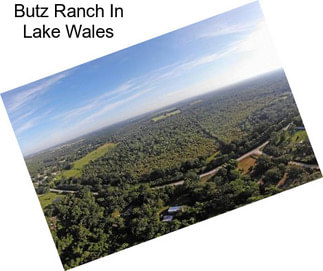 Butz Ranch In Lake Wales