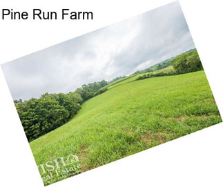 Pine Run Farm