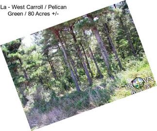 La - West Carroll / Pelican Green / 80 Acres +/-