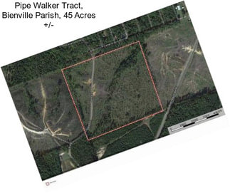 Pipe Walker Tract, Bienville Parish, 45 Acres +/-