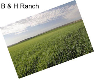 B & H Ranch