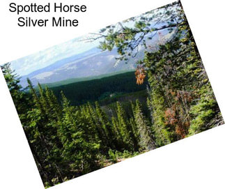 Spotted Horse Silver Mine