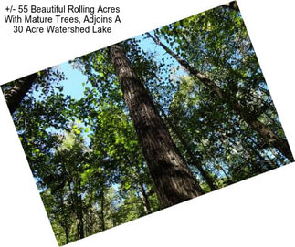 +/- 55 Beautiful Rolling Acres With Mature Trees, Adjoins A 30 Acre Watershed Lake