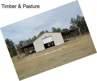 Timber & Pasture