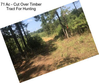 71 Ac - Cut Over Timber Tract For Hunting