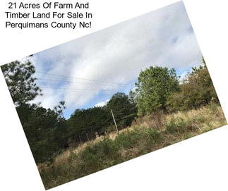 21 Acres Of Farm And Timber Land For Sale In Perquimans County Nc!