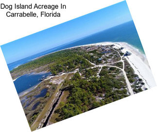 Dog Island Acreage In Carrabelle, Florida