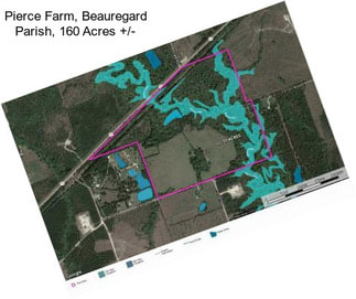 Pierce Farm, Beauregard Parish, 160 Acres +/-