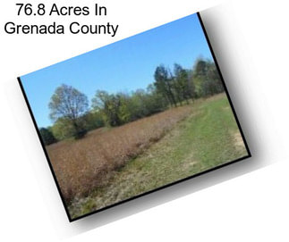 76.8 Acres In Grenada County