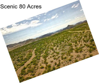 Scenic 80 Acres