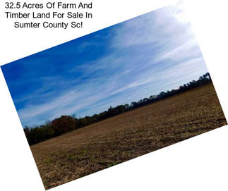 32.5 Acres Of Farm And Timber Land For Sale In Sumter County Sc!