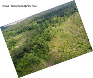 159 Ac - Timberland & Hunting Tract