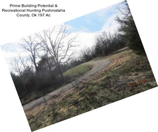 Prime Building Potential & Recreational Hunting Pushmataha County, Ok 197 Ac