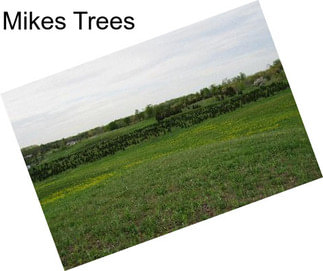 Mikes Trees