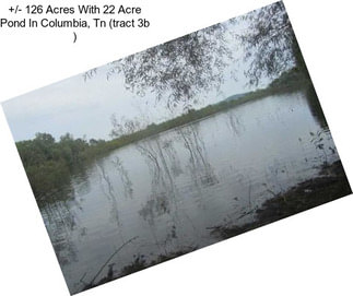 +/- 126 Acres With 22 Acre Pond In Columbia, Tn (tract 3b )