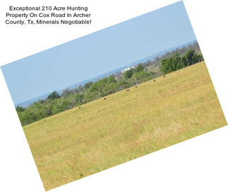 Exceptional 210 Acre Hunting Property On Cox Road In Archer County, Tx, Minerals Negotiable!