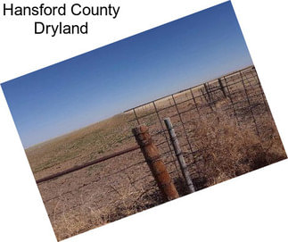 Hansford County Dryland