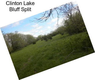 Clinton Lake Bluff Split