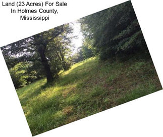 Land (23 Acres) For Sale In Holmes County, Mississippi