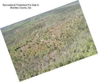 Recreational Timberland For Sale In Brantley County, Ga