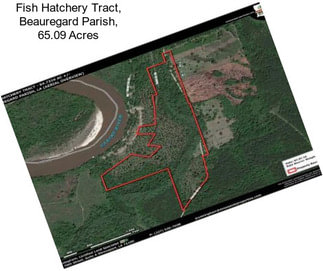 Fish Hatchery Tract, Beauregard Parish, 65.09 Acres