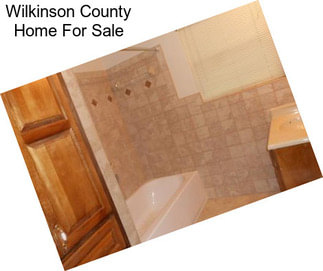 Wilkinson County Home For Sale