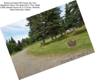 Moose And Sand Hill Cranes Are Your Neighbors! Savor The Quiet Life In This 3 Bed/ 2 Bath Alaskan Home On 2.17 Acres, Ninilchik, Kenai Peninsula, Alaska