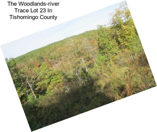 The Woodlands-river Trace Lot 23 In Tishomingo County