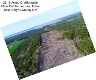 25.13 Acres Of Affordable Clear Cut Timber Land In For Sale In Hyde County Nc!