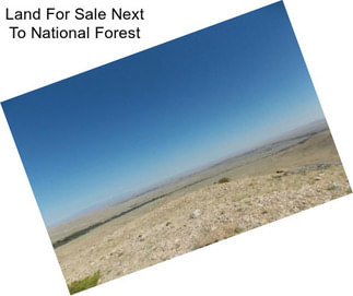 Land For Sale Next To National Forest