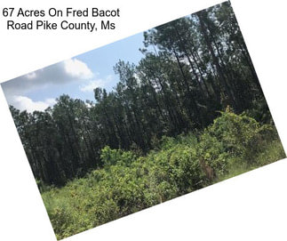 67 Acres On Fred Bacot Road Pike County, Ms