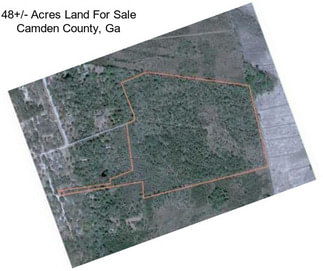 48+/- Acres Land For Sale Camden County, Ga
