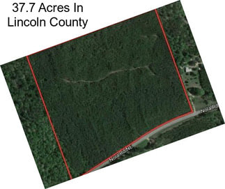 37.7 Acres In Lincoln County