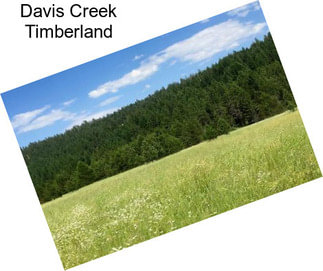 Davis Creek Timberland