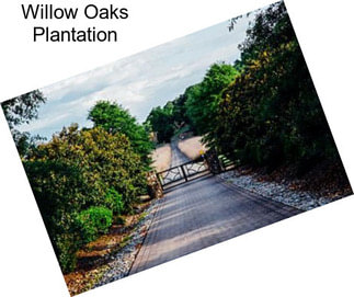 Willow Oaks Plantation