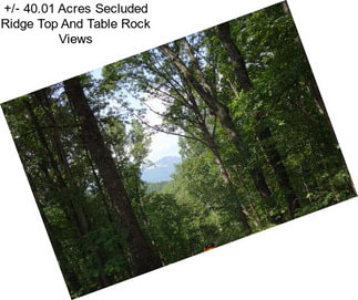 +/- 40.01 Acres Secluded Ridge Top And Table Rock Views