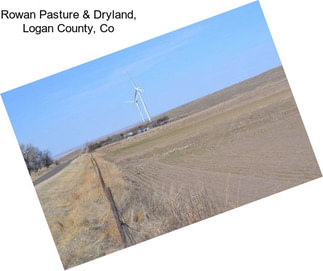 Rowan Pasture & Dryland, Logan County, Co