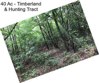 40 Ac - Timberland & Hunting Tract
