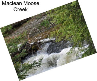 Maclean Moose Creek