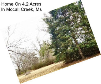 Home On 4.2 Acres In Mccall Creek, Ms