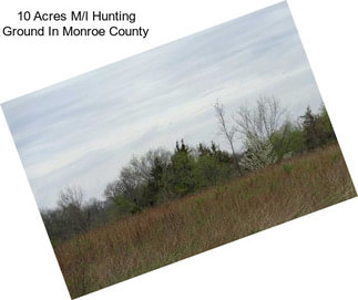 10 Acres M/l Hunting Ground In Monroe County