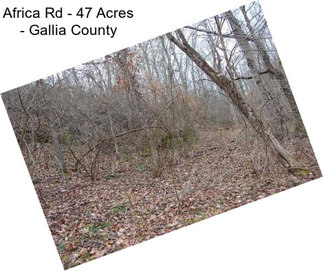 Africa Rd - 47 Acres - Gallia County