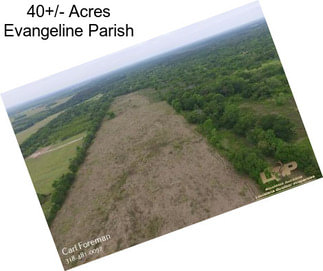 40+/- Acres Evangeline Parish