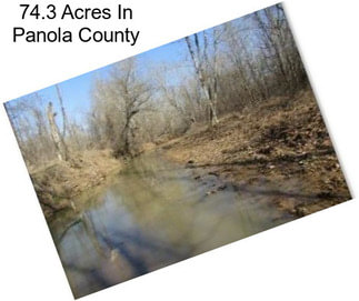 74.3 Acres In Panola County