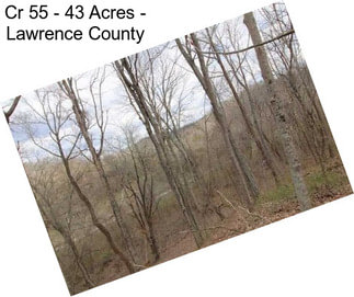 Cr 55 - 43 Acres - Lawrence County