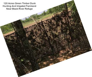 120 Acres Green Timber Duck Hunting And Irrigated Farmland Near Black River Refuge