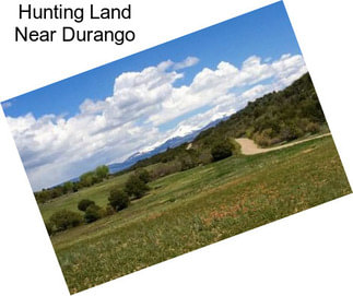 Hunting Land Near Durango