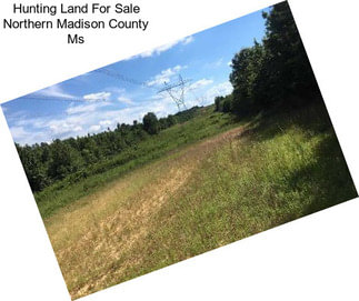 Hunting Land For Sale Northern Madison County Ms