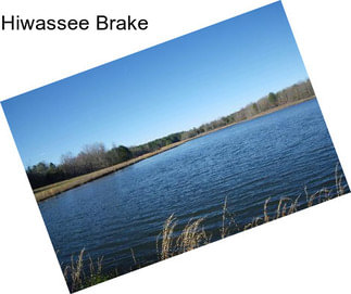 Hiwassee Brake